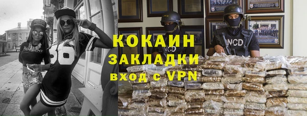 СК Дмитров