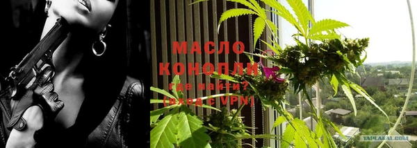 ешки Пересвет