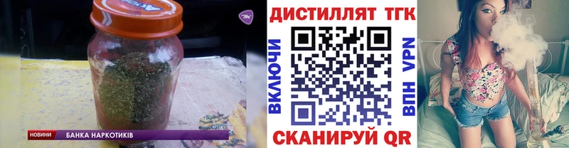 купить   Боготол  ТГК концентрат 