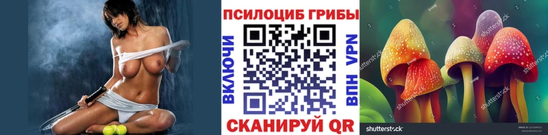 Псилоцибиновые грибы Cubensis  хочу наркоту  Боготол 